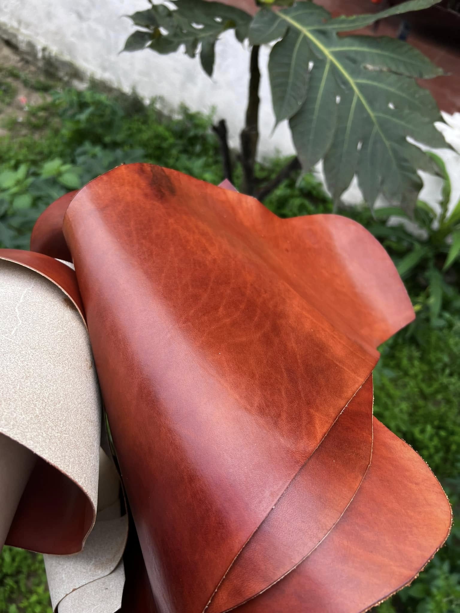 Da nguyên liệu Thương Leather